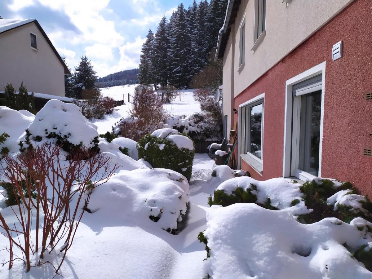 Ferienwohnung Eschenberg Winterberg Exteriör bild